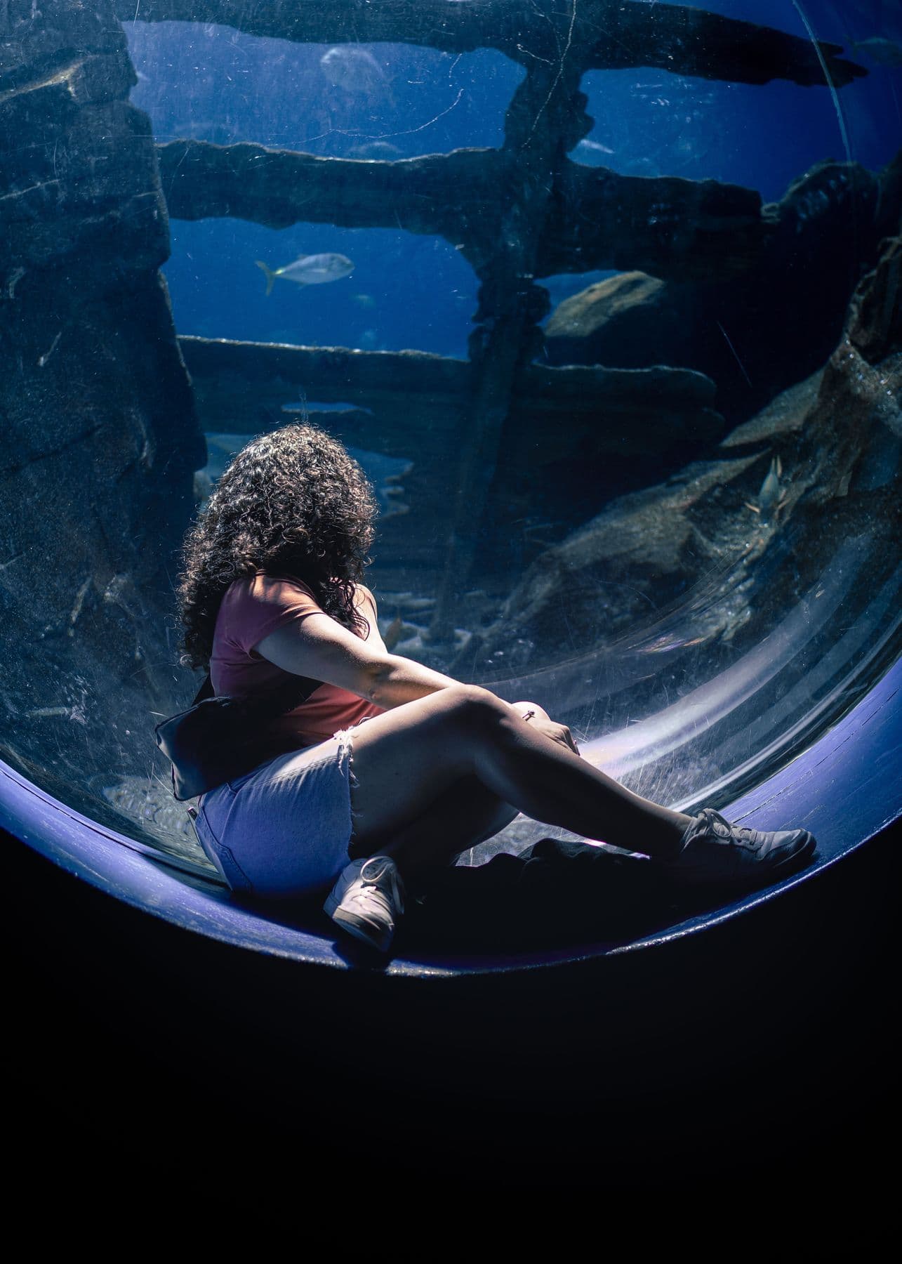 Aquarium Drama
