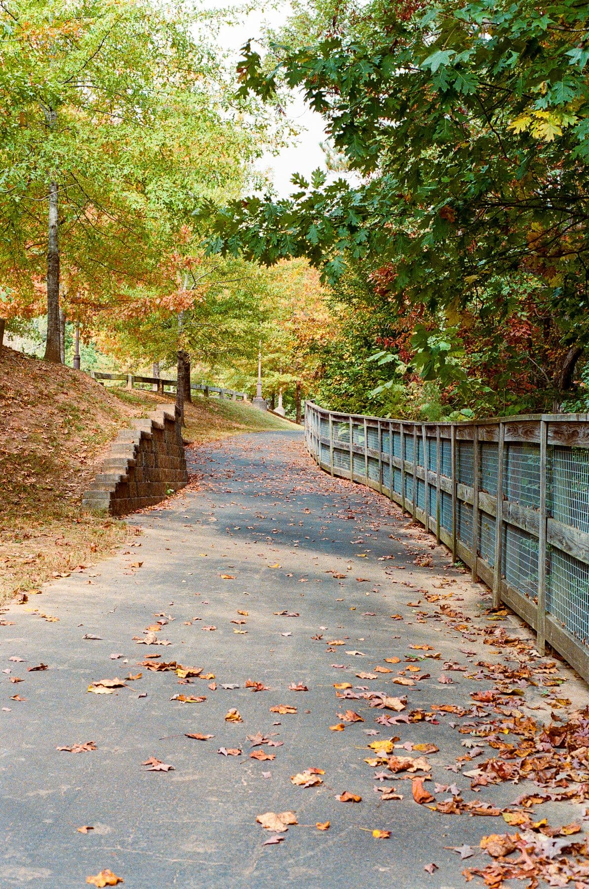 Fall Path