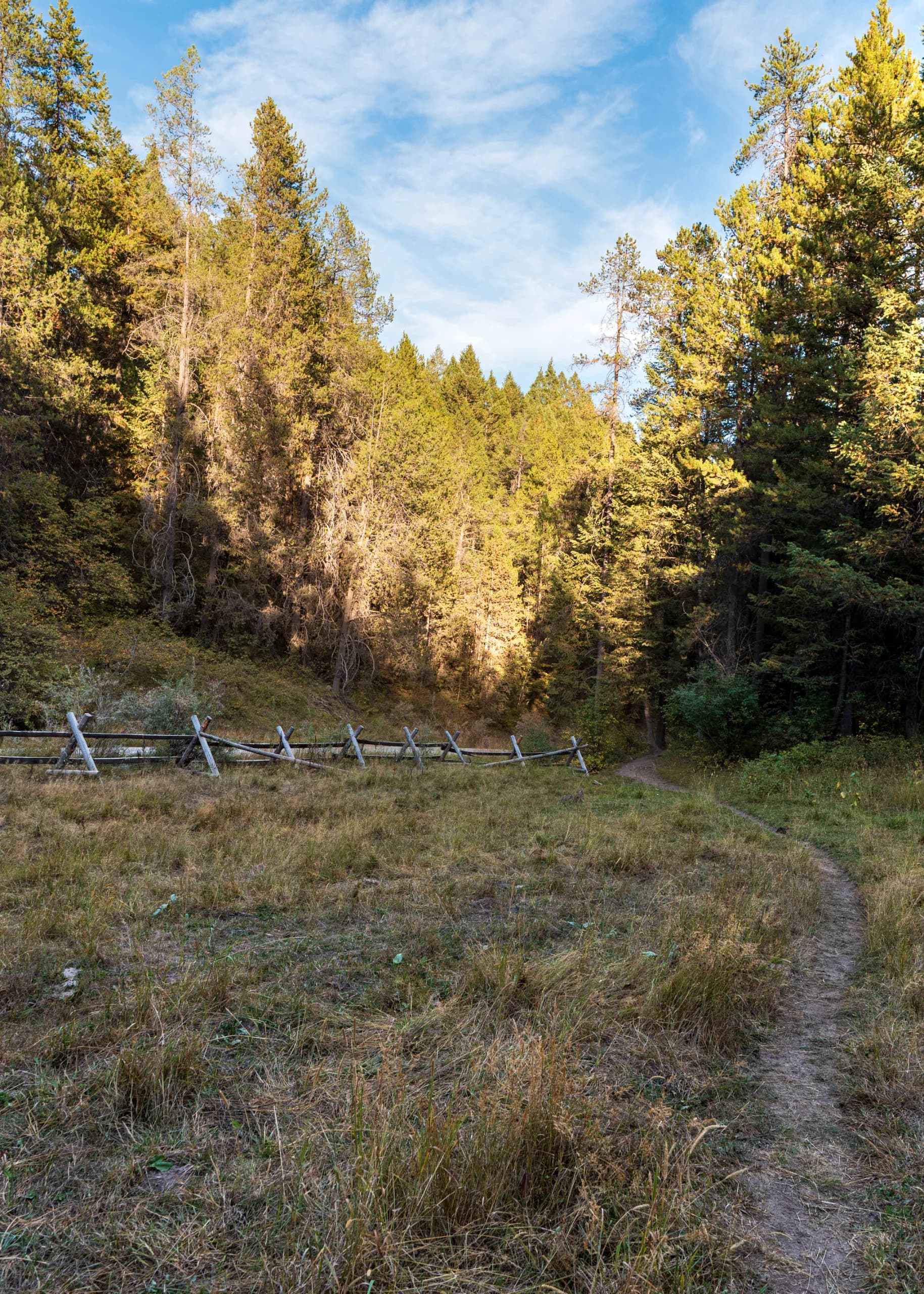 Trail of Life